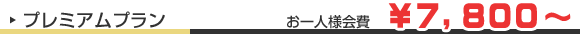 プレミアムプラン