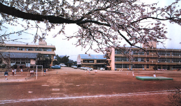 埼玉県蓮田市立蓮田中学校1984年卒業生同窓会のお知らせ 同窓会の幹事を代行 同窓会本舗 埼玉県蓮田市立蓮田中学校1984年卒業生同窓会のお知らせ 同窓会の幹事を代行 同窓会本舗