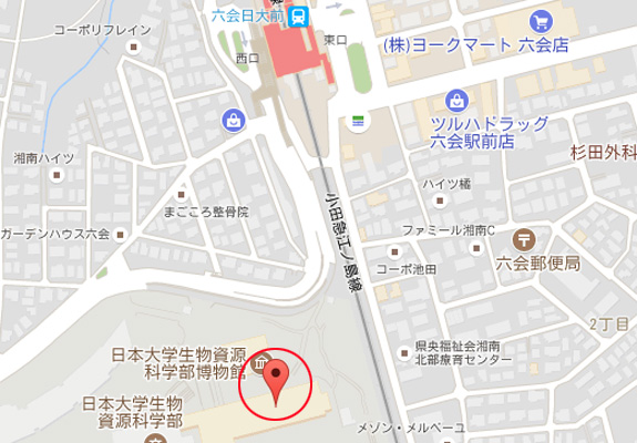 アクセスマップ